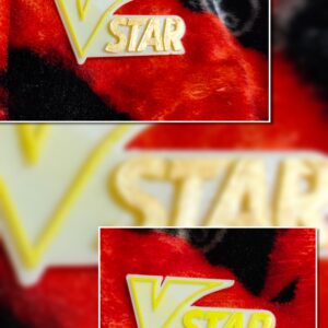 Marcador  Vstar